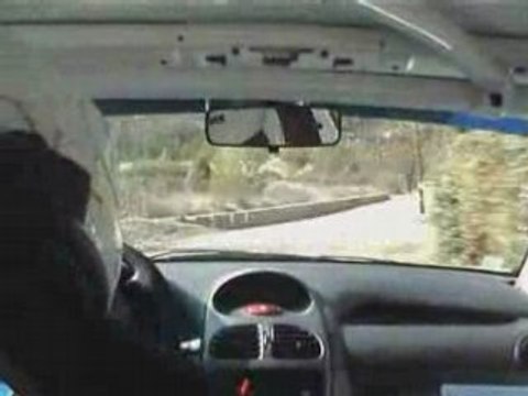 ES 5 PROPIAC 206 F214 N°39 CABART-PEREZ RALLYE VAISON 08