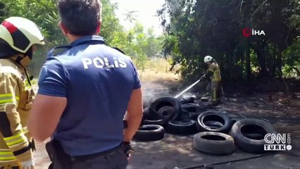 Para kazanmak için ormanı yakıyorlardı