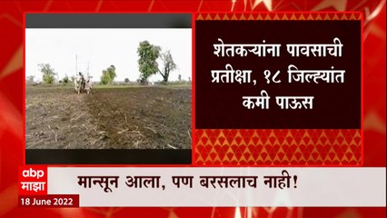 Maharashtra Monsoon 2022 : येत्या 5 दिवसांत राज्यात पावसाचा जोर वाढण्याची शक्यता