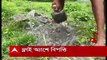 Bankura: বাঁকুড়ার মেজিয়ায় বিপদ বাড়াচ্ছে তাপবিদ্যুৎ কেন্দ্রের ফ্লাই অ্যাশ। সমস্যায় পড়েছেন ১৪টি গ্রামের বাসিন্দারা। Bangla News
