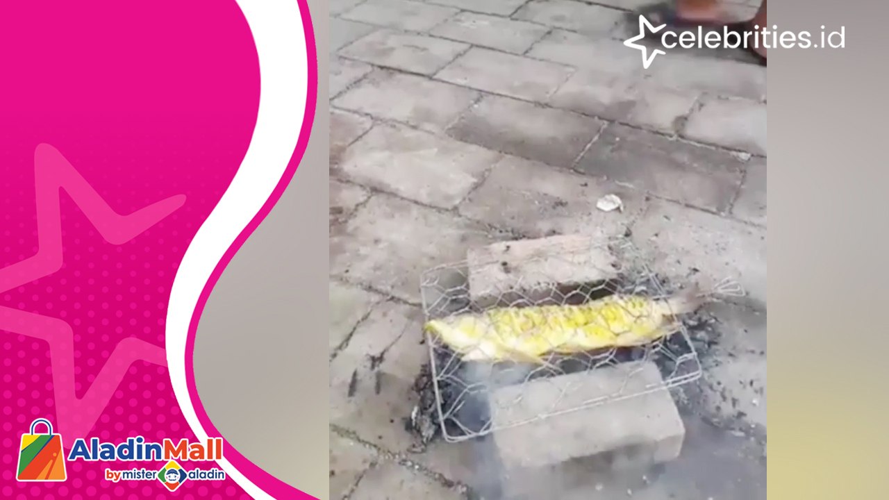 Viral, Makan Ikan 'Sultan' Arwana Super Red Rp10 Juta