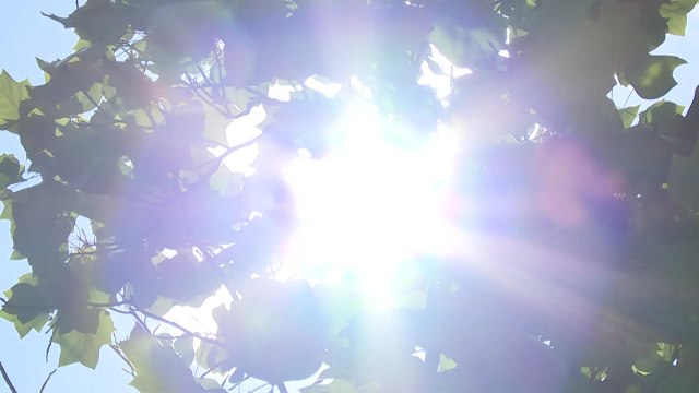 [날씨] 영남 폭염 특보, 30℃ 안팎 더위...곳곳 요란한 소나기 / YTN