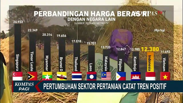Pertumbuhan Sektor Pertanian Mencatat Tren Positif, Produksi Gabah Tinggi Hingga Melimpahnya Padi!