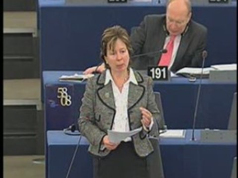 Diana Wallis on Annual policy strategy 2009