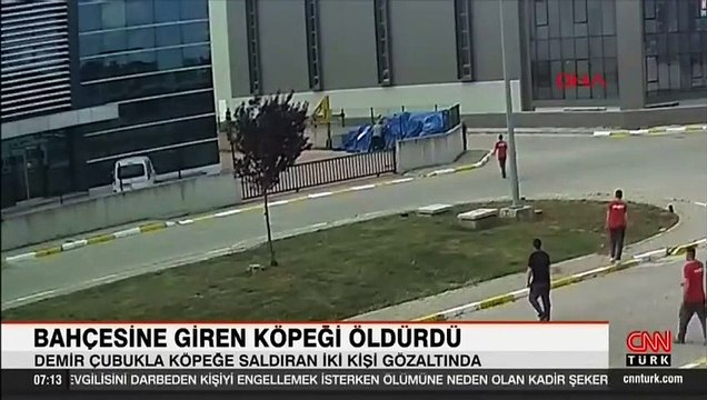 Kocaeli'de vahşet! Köpeği demir çubukla vurarak öldürdüler
