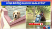 Heavy Rains Create Havoc In Sai Layout | Bengaluru | Public TV