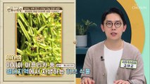 건강하게 다이어트 성공한 원미연의 비법 『시서스』 TV CHOSUN 20220618 방송