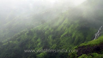 Chinaman's Falls - Mahabaleshwar