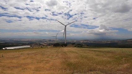 Babası felç olunca yıllarca atıl kalan araziyi çilekle buluşturdu