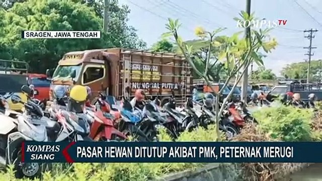 Peternak Merugi Akibat Wabah PMK, Pasar Hewan Ditutup tapi Biaya Perawatan Ternak Terus Keluar