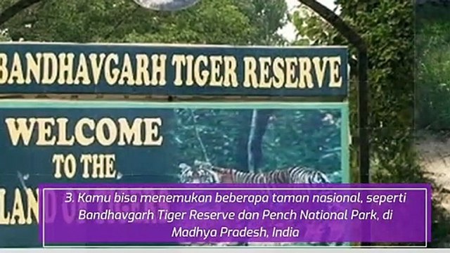 10 Tempat Wisata Terbaik di Dunia, Indonesia Nomor Satu Lho!