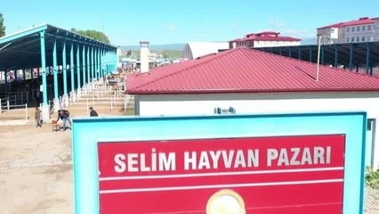 Kurbanlıklar pazara inince sıkı pazarlıklar da başladı