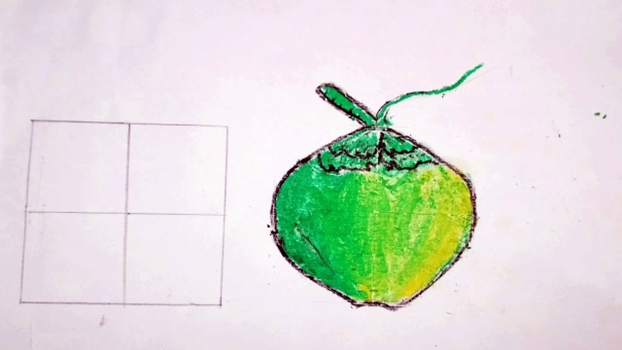 How to draw Coconut
