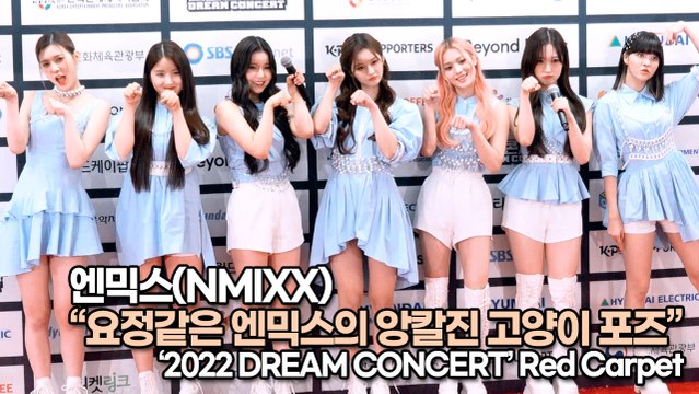 [TOP영상] 엔믹스(NMIXX), 요정같은 엔믹스의 앙칼진 고양이 포즈(220617 #DreamConcert #redcarpet)