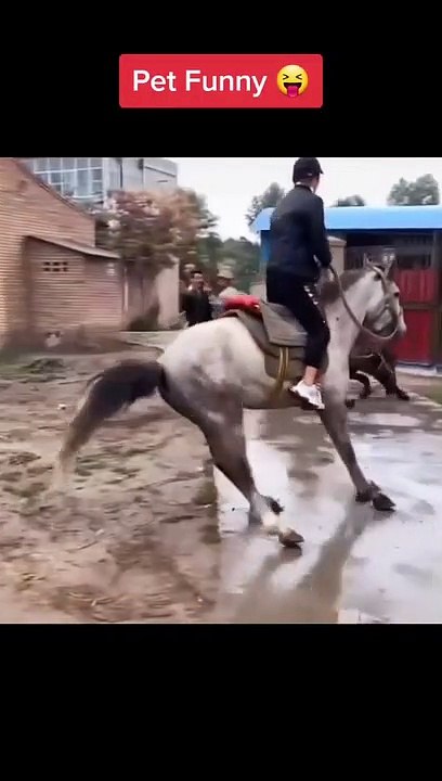 Best New Video | Funny Video 2022 | Funny Tik Tok Video | #shorts | Tik Tok