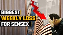 Biggest weekly Loss for Sensex since May 2020, Nifty drops for sixth straight day | Oneindia News