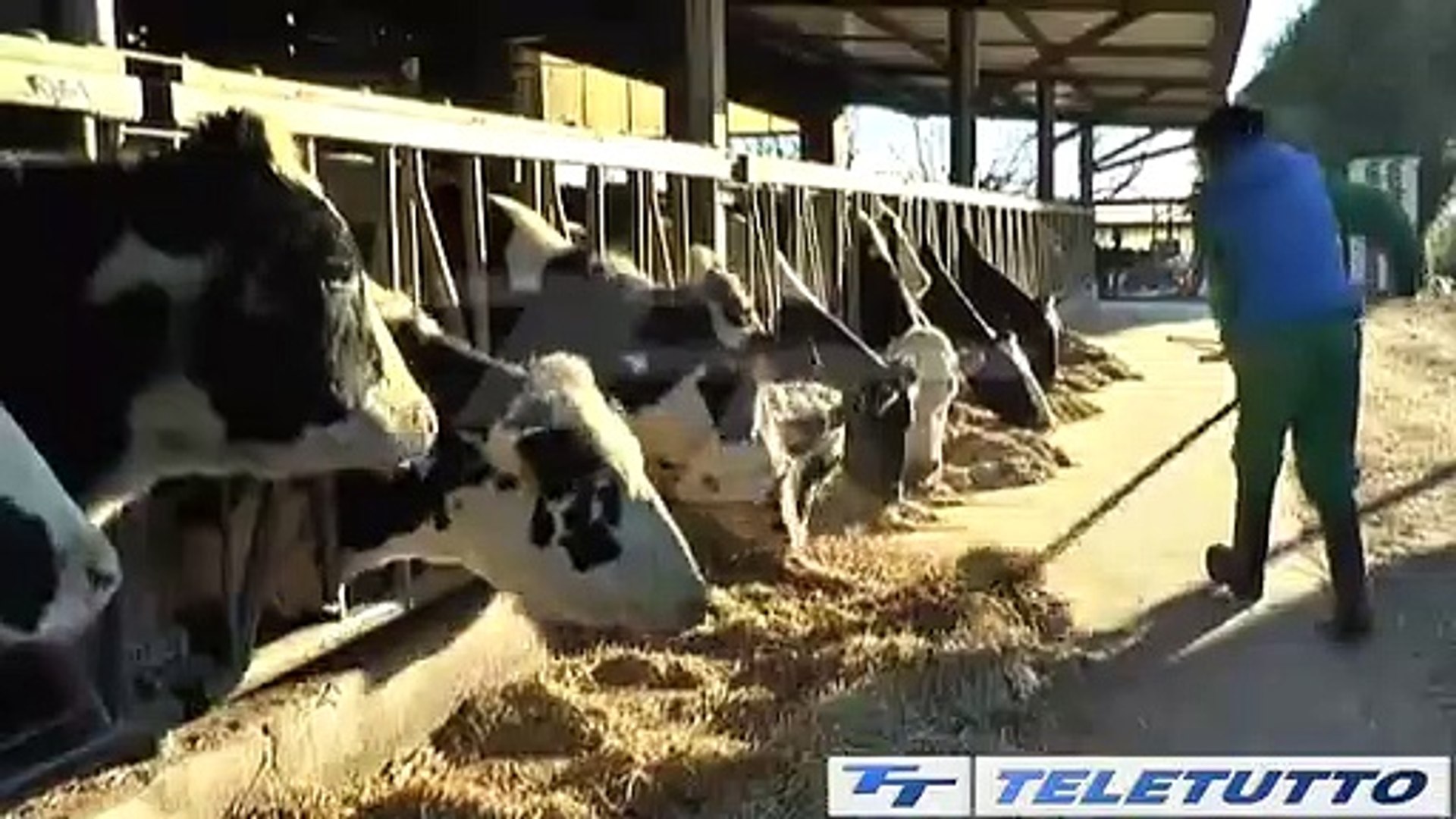 Video News - AGRICOLTURA AUTOSUFFICIENTE