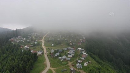 Yaylacıların "Şenlik Havası"nda göç yolculuğu başladı