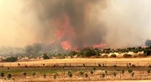 Son dakika haberleri... Foça'daki orman yangını yoğun müdahalelerle kontrol altını alındı