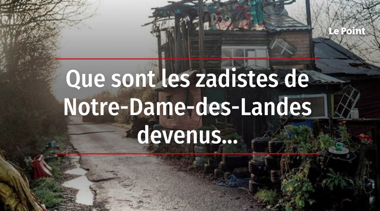 Que sont les zadistes de Notre-Dame-des-Landes devenus…