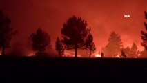 Son dakika haberleri... İspanya'da orman yangınları giderek artıyor