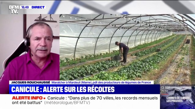 Jacques Rouchaussé: Les plantes se sentent agressées par cette chaleur
