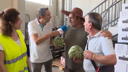 Un comerciante de Parla (Madrid) vende cada día miles de sandías y melones a un euro