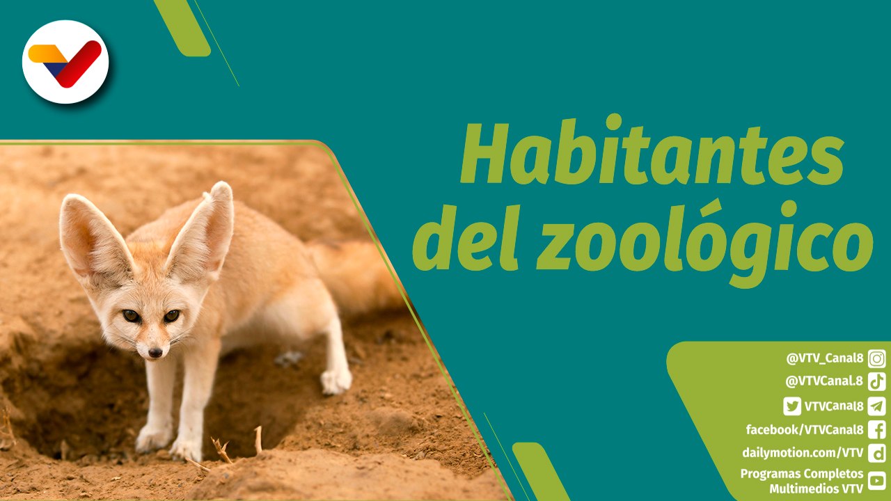 Punto Verde | Conozca las tres especies importa...