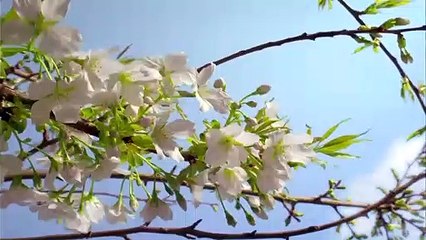 Khuda ki Azmatain kia hain, maqam e mustafa صلی اللہ علیہ وسلم kia hay... (HD)