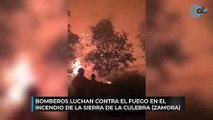 Bomberos luchan contra el fuego en Zamora