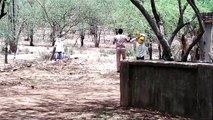 राजस्थान में अग्निपथ योजना के विरोध में युवाओं का उत्पात, जंगल में छिपे युवाओं के पीछे दौड़ी पुलिस, देखिए वीडियो...