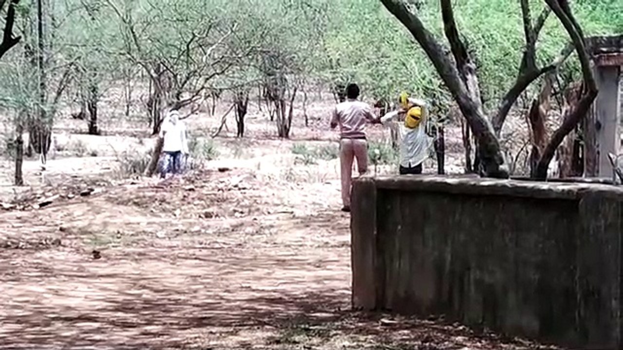 राजस्थान में अग्निपथ योजना के विरोध में युवाओं का उत्पात, जंगल में छिपे युवाओं के पीछे दौड़ी पुलिस, देखिए वीडियो...