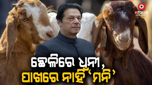 Imran Khan has 4 goats, no investment; Imran khan's ex-wife richer than him, Says Report