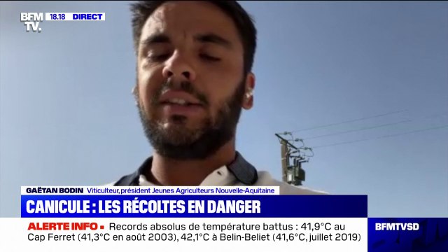 Canicule: les agriculteurs et viticulteurs très inquiets pour l'avenir