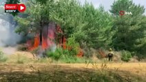 İspanya’da orman yangınları giderek artıyor