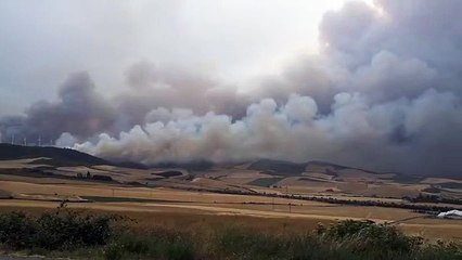 Los incendios desolan Navarra