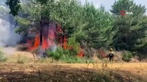 İspanya alev alev: Orman yangınları giderek artıyor