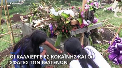Κολομβία: Οι καλλιέργειες κοκαΐνης και οι σφαγές των ιθαγενών Νάσα