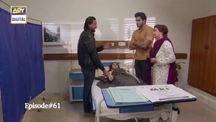 Bharaas Episode 61 ARY Digital Drama