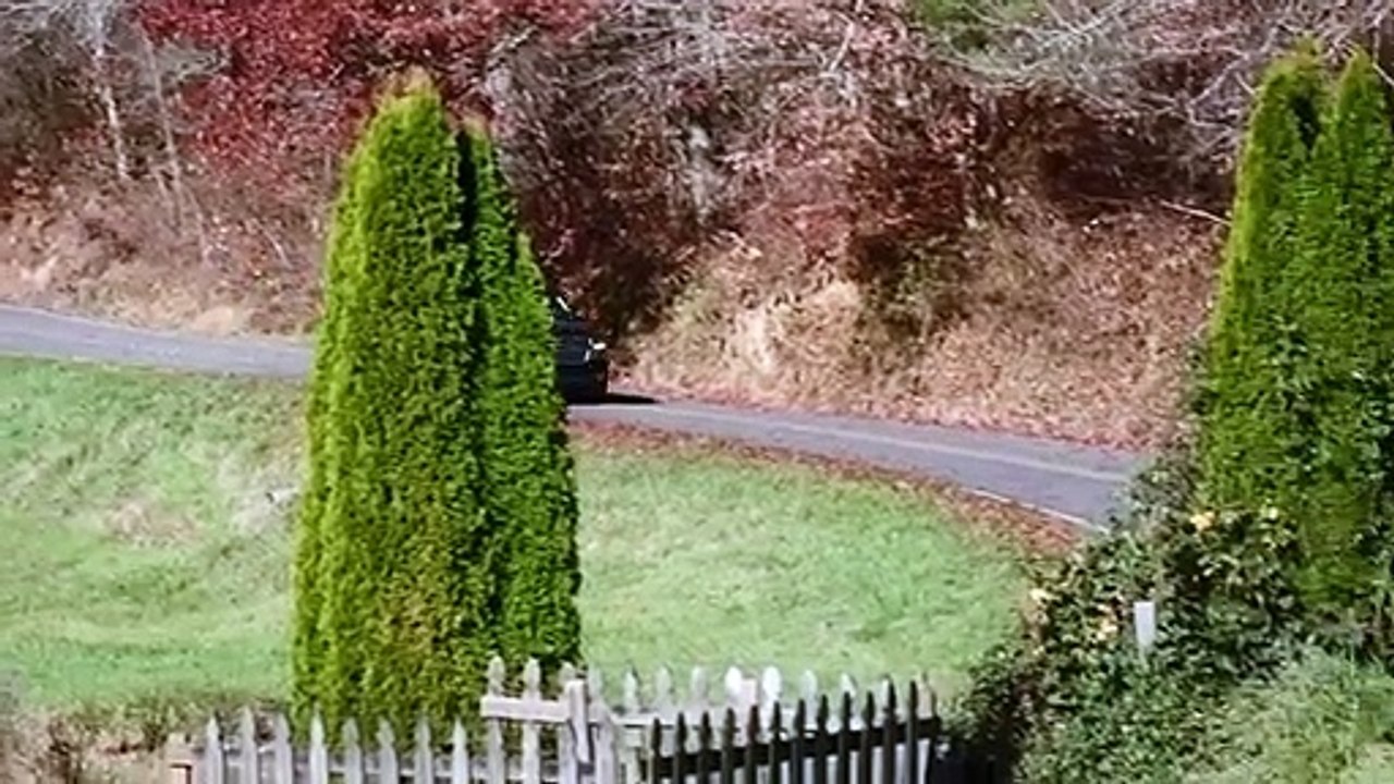 SNAPSHOT OF LOVE Trailer (2022) Jennifer Adams, Romance Movie