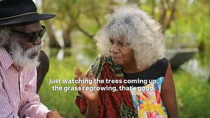 Plans to rehabilitate Kakadu uranium mine into national park