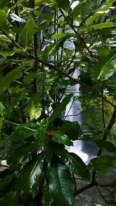 Keindahan Alami air terjun