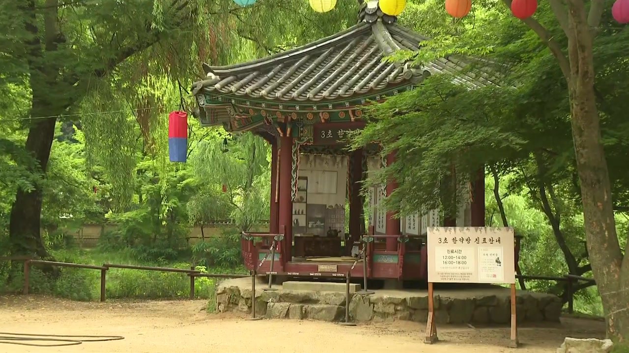 이번 주 '한여름 날씨' 예고...여름 문턱에 곳곳 나들이객 / YTN