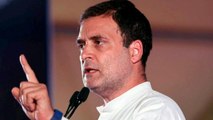 BJP I-T cell chief vs Rahul Gandhi over Agnipath fury