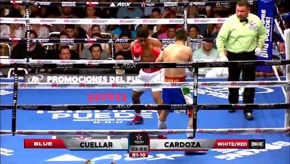 David Cuellar Contreras vs Yader Cardoza (17-06-2022) Full Fight