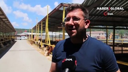 İstanbul’da kurbanlık alanlar kurulmaya başladı! 2 yıl sonra ilk kez yapılacak