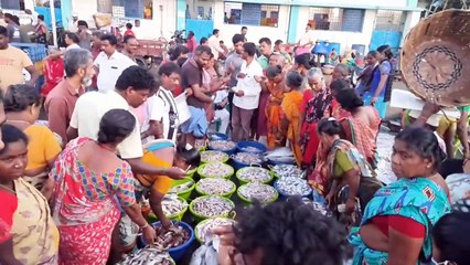 முடிந்தது மீன்பிடி தடை காலம்.. களைகட்டியது காசிமேடு மீன் சந்தை! ஆனாலும் அசைவ பிரியர்கள் சோகமாம்!