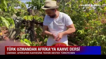 Türk uzmandan Afrika'ya kahve dersi