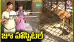 Ground Report On Animal Treatment In Zoo Veterinary Hospital _ Hyderabad _ V6 News (1)