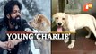 Inspired By 'Charlie 777', Mangaluru Police Names Their Dog 'Charlie'